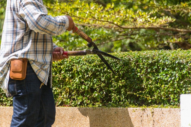 Garden Maintenance West Drayton, Harmondsworth, Sipson, UB7